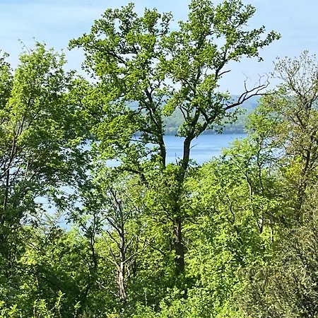 Schlossblick Mit Teilseeblick